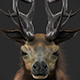Stag With Hair 3D Model - 3DOcean Item for Sale