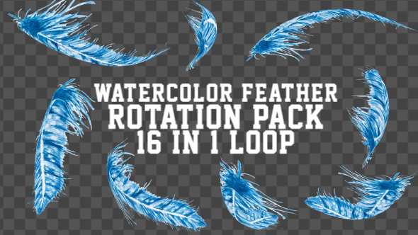 Watercolor Feather Rotation Pack V4 16 in 1