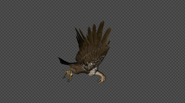 Buzzard Die And Passout Pack 8 In 1 alt