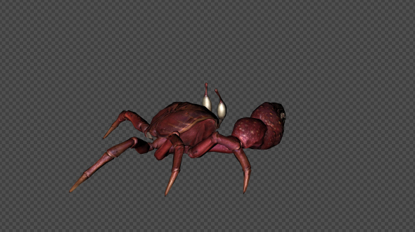 Crab Attack Pack02 4 In 1 alt