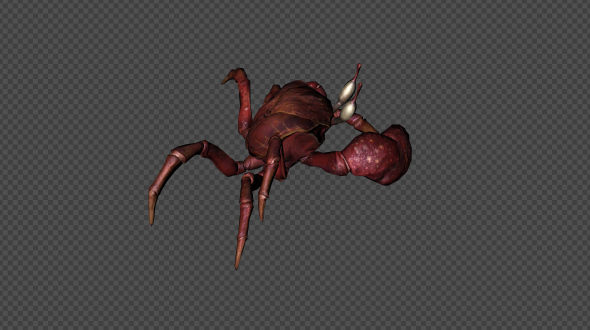 Crab Run Pack 4 In 1 alt