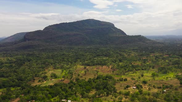 Rural Landscape in Sri Lanka