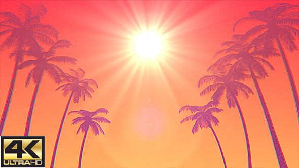 Summer Palms Loop Background Ultra HD