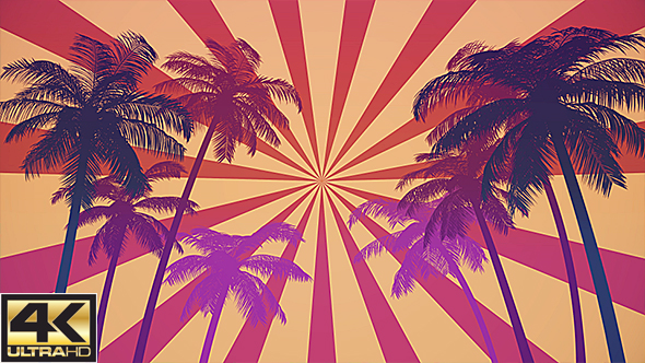 Summer Palms Loop Background Ultra HD