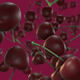 Fresh Cherries - VideoHive Item for Sale