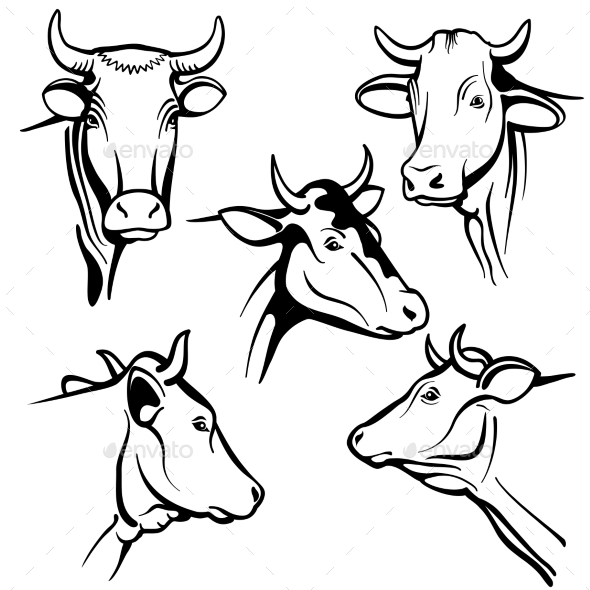 Isolated Cow Head Vector Portraits