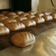 Bread Bakery Food Factory Production - VideoHive Item for Sale