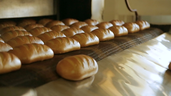 Bread Bakery Food Factory Production