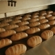 Loaf of Bread on the Production Line in the Bakery - VideoHive Item for Sale