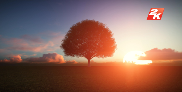 Sunset Tree