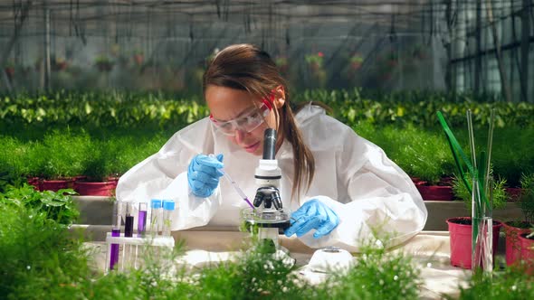 Female Scientist Is Working with Microscope and Chemicals