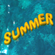 Summer - VideoHive Item for Sale