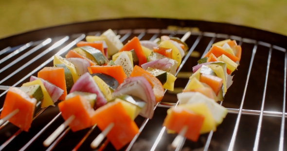 Healthy Colorful Kebabs with Fresh Vegetables