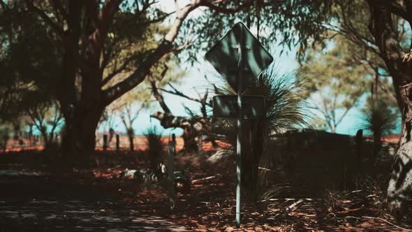 Outback Road with Dry Grass and Trees