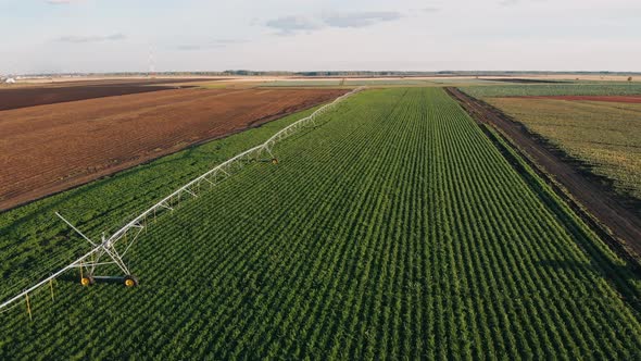 Industrial Farming Aerial Video Footage: Irrigation of Field in Summer. Drone Shot, Agriculture at