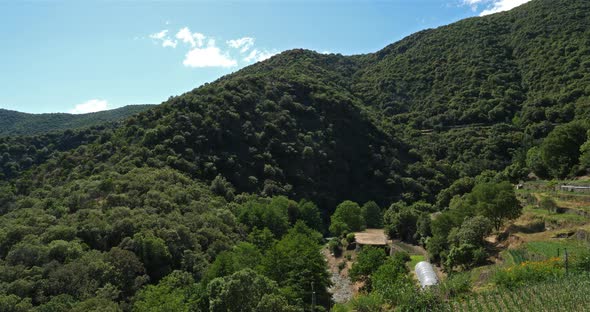 The Cevennes national park, Gard, France