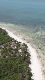 Vertical Video of the Ocean Near the Coast of Zanzibar Tanzania