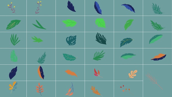 Animated Flowers for Motion Graphics Pack