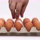 Male Hand Taking a White Chicken Chicken Eggs in a Carton Box Full of Brown Eggs Isolated on White - VideoHive Item for Sale