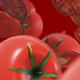 Fresh Tomatoes - VideoHive Item for Sale