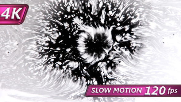 Black Invasion Of Purity alt