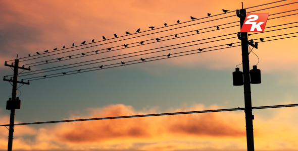 Birds Standing On The Electric Pole-1