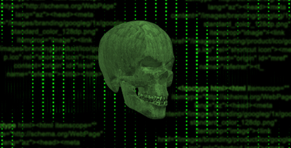 Hacking Skull Head