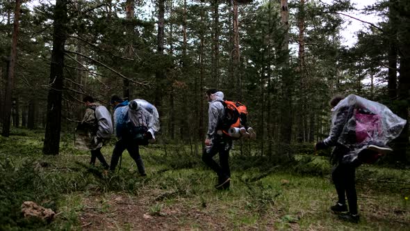 Hikers Walking Through Wild Grass