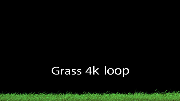 Grass 2 Loop 4K