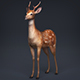 Low Poly Realistic Deer - 3DOcean Item for Sale