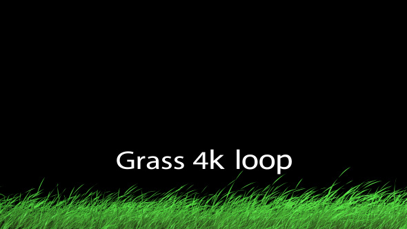 Grass 1 Loop 4K