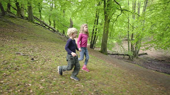 Two Walking In Forest Children