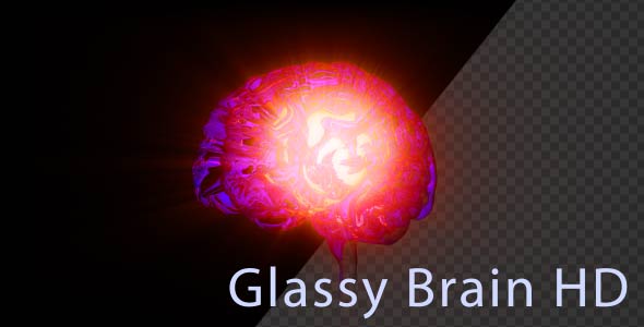 Glassy Brain