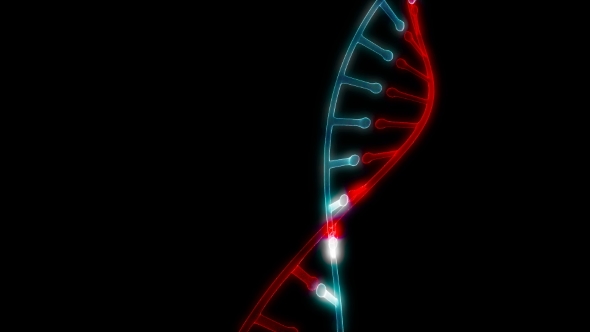 Model DNA Rotate on Black Able To Loop Seamless alt