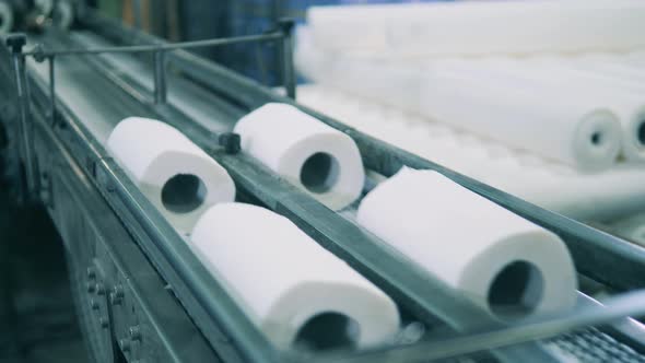 Paper Rolls Production Line at a Paper Mill