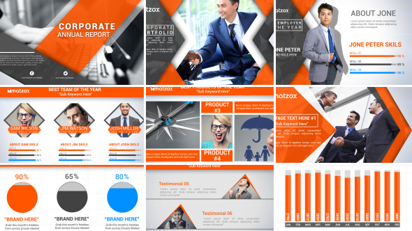 Corporate Annual Status alt