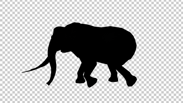 Elephant Walk Silhouette alt