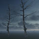 Dead Trees - VideoHive Item for Sale