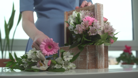 A Woman Collects Modern Bouquet of Bright Floral Home Salon