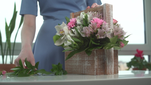 Woman's Hands Collecting Stylish Bouquet Flowers ( Roses, Gerberas, Orchids) Box