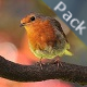 Birds Sound Pack