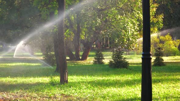 Automated Irrigation System in Park.