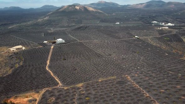 Flying Over Wine Valley of La Geria, Lanzarote, Canary Islands, Spain