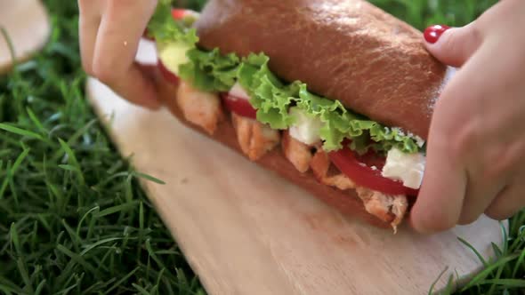 Delicious Sandwich with Fried Zucchini Fresh Vegetables and Cheese on a Green Background