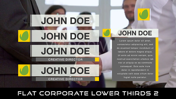 Flat Corporate Lower Thirds 3