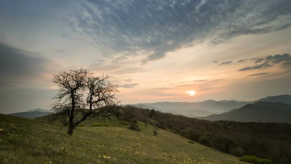 Dawn Over the Mountains and Forest