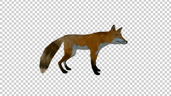 3D Realistic Fox alt