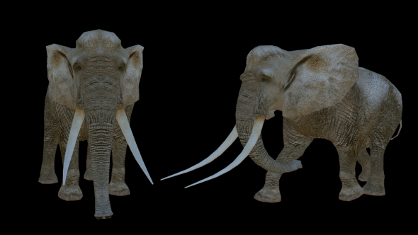 Realistic Elephants - 2 Scene alt