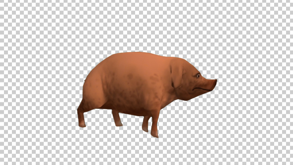 Cartoon Pig Walking alt