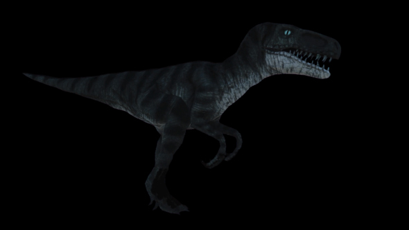 Dinosaur - Velociraptor Walking